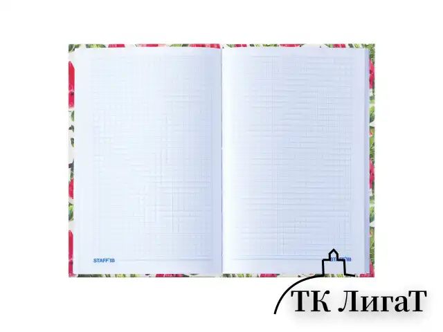 Блокнот А5 134х206 мм, 80 л., твердый, клетка, выборочный лак, STAFF, "Juicy", 111605