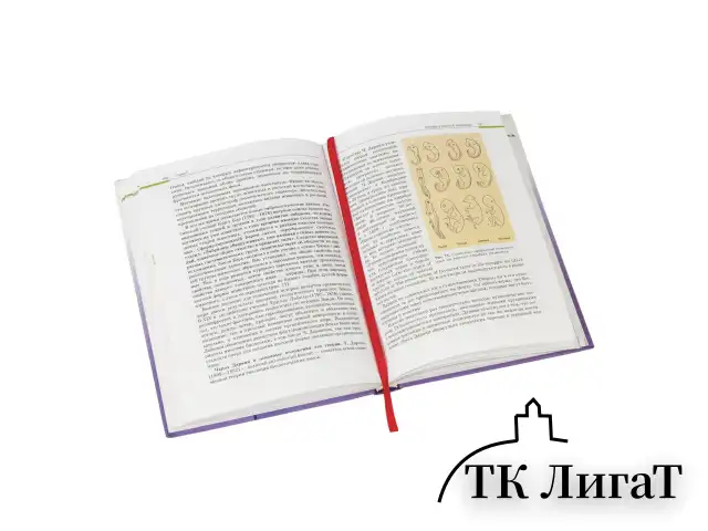 Закладки-ляссе "РАДУГА" для книг А5 (длина 28 см) ПИФАГОР, клейкий край, 4 ленты, 111648