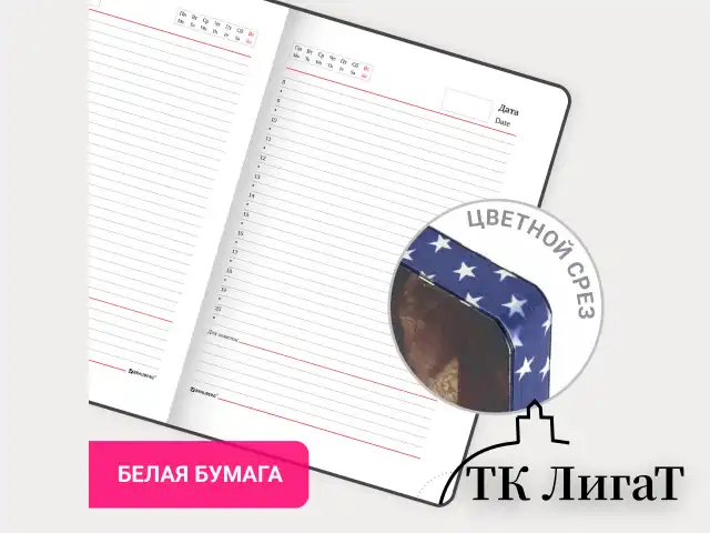 Ежедневник недатированный А5 (138х213 мм), BRAUBERG VISTA, под кожу, гибкий, 136 л., "Independence", 112006