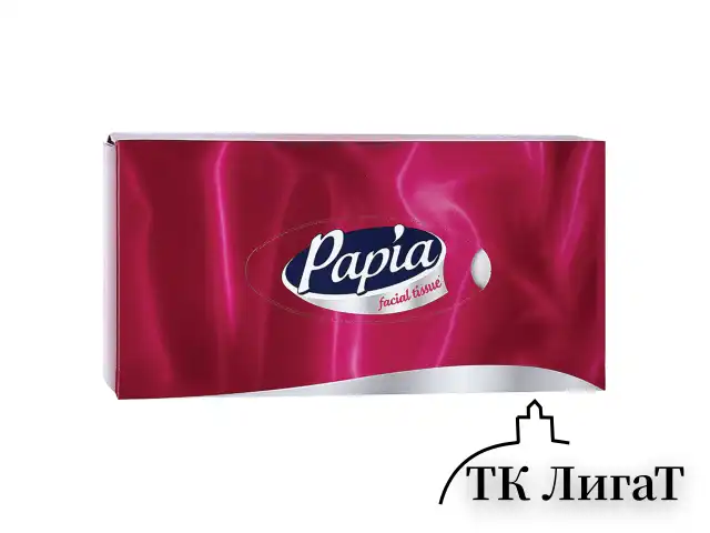 Салфетки косметические 100 штук в картонном боксе, 2-слойные, PAPIA, 5055478