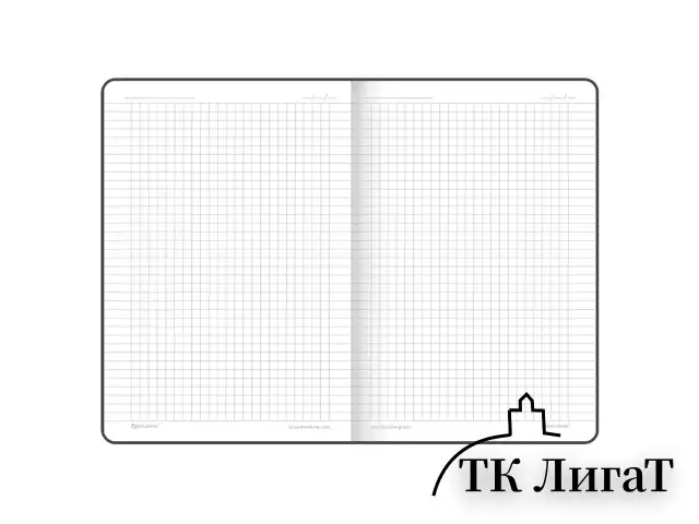 Блокнот А5 (143x210 мм), BRAUBERG VISTA "Fashion Style", под кожу, гибкий, 80 л., 112067