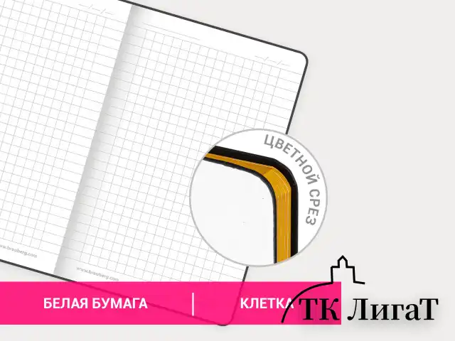 Блокнот МАЛЫЙ ФОРМАТ (100х150 мм) А6, BRAUBERG VISTA "Fashion Style", под кожу, гибкий, 80 л., 112091