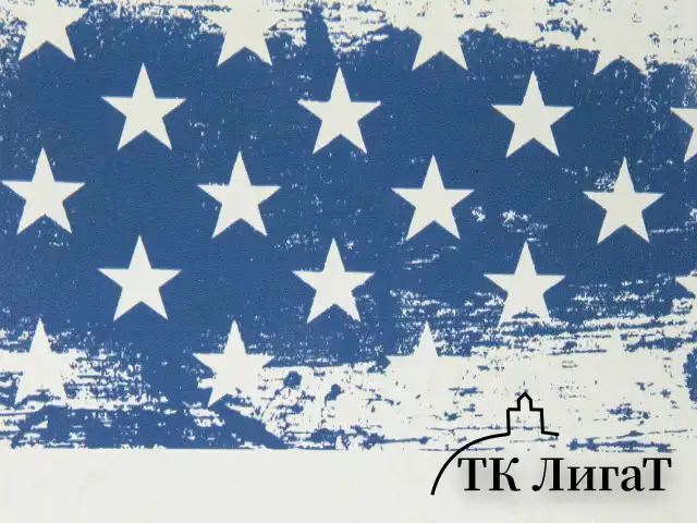 Тетрадь на кольцах А5 (180х220 мм), 80 листов, под кожу, клетка, BRAUBERG VISTA, USA, 112122