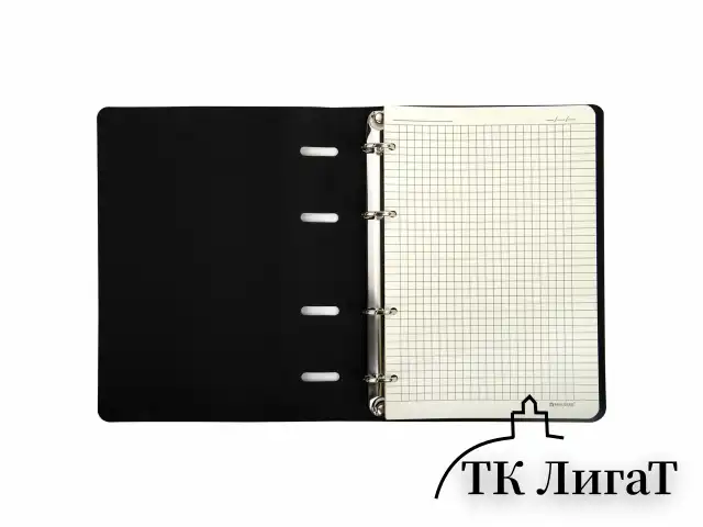 Тетрадь на кольцах А5 (180х220 мм), 80 листов, под кожу, клетка, тиснение фольгой, BRAUBERG VISTA, Avocado, 112130