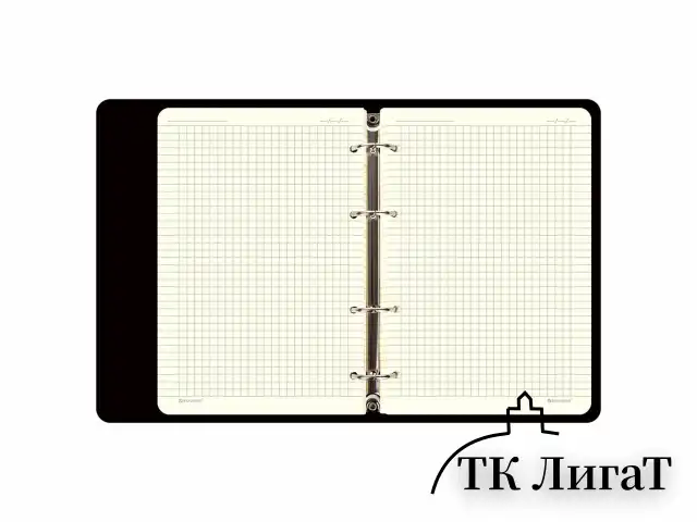 Тетрадь на кольцах А5 (180х220 мм), 80 листов, под кожу, клетка, тиснение фольгой, BRAUBERG VISTA, Avocado, 112130