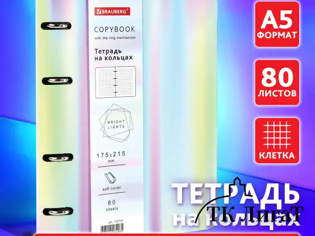 Тетрадь на кольцах А5 (180х220 мм), 80 листов, под кожу, клетка, тиснение фольгой, BRAUBERG VISTA, Gradient, 112131