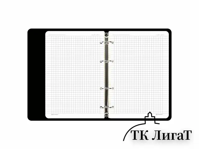Тетрадь на кольцах А5 (180х220 мм), 80 листов, под кожу, клетка, тиснение фольгой, BRAUBERG VISTA, Gradient, 112131