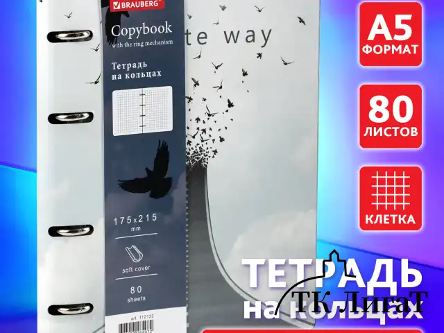 Тетрадь на кольцах А5 (180х220 мм), 80 листов, под кожу, клетка, BRAUBERG VISTA, Infinite way, 112132