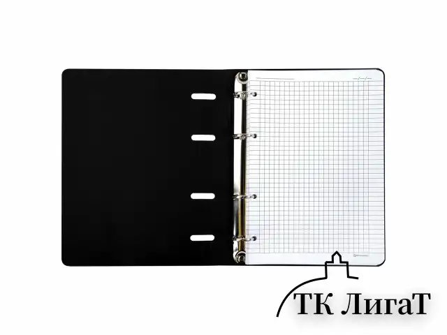 Тетрадь на кольцах А5 (180х220 мм), 80 листов, под кожу, клетка, BRAUBERG VISTA, Infinite way, 112132