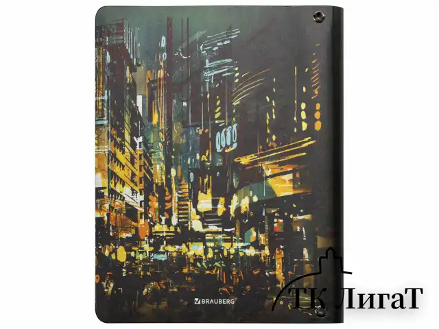 Тетрадь на кольцах А5 (180х220 мм), 80 листов, под кожу, клетка, BRAUBERG VISTA, "Avenue", 112137