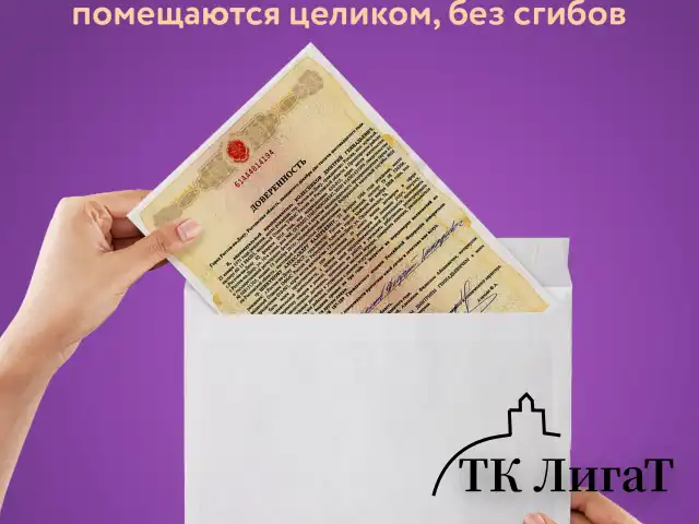 Конверты С4 (229х324 мм), отрывная лента, 100 г/м2, КОМПЛЕКТ 50 шт., BRAUBERG, 112184