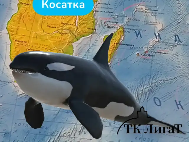Карта мира физическая 157х107 см, 1:21,5М, с ламинацией, интерактивная, в тубусе, BRAUBERG, 112388