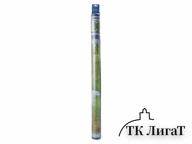 Карта России физическая 116х80 см, 1:7,5М, с ламинацией, интерактивная, европодвес, BRAUBERG, 112393