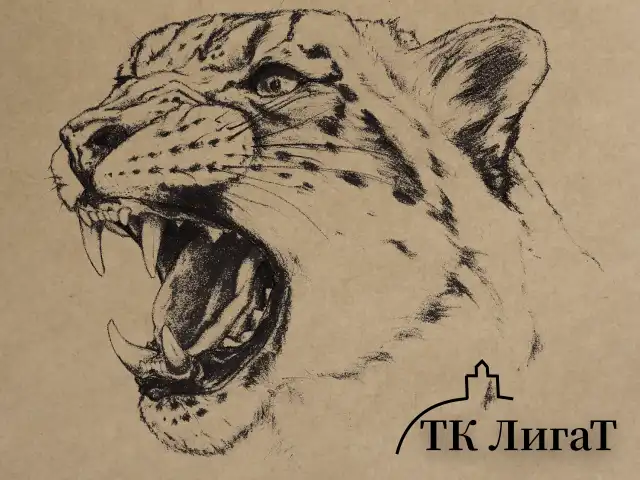 Папка для рисования и эскизов, крафт-бумага 140 г/м2, А3 (297x414 мм), 20 л., BRAUBERG ART CLASSIC, 112482