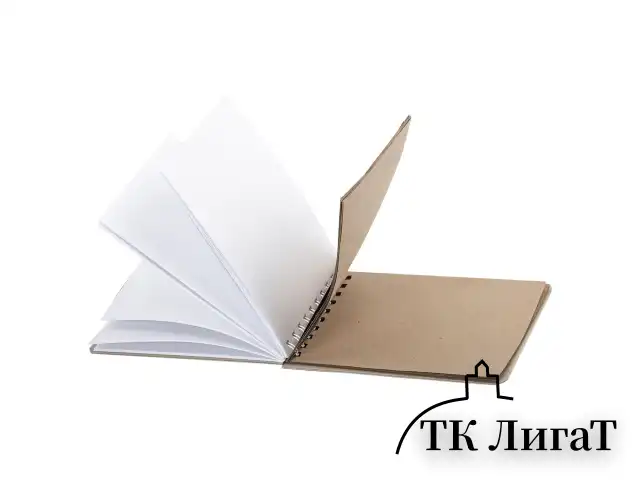 Скетчбук, белая бумага 120 г/м2 + крафт 80 г/м2 142х212 мм, 60 + 20 л., гребень, BRAUBERG ART DEBUT, 112981