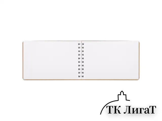 Скетчбук, белая бумага 120 г/м2 + крафт 80 г/м2 142х212 мм, 60 + 20 л., гребень, BRAUBERG ART DEBUT, 112981