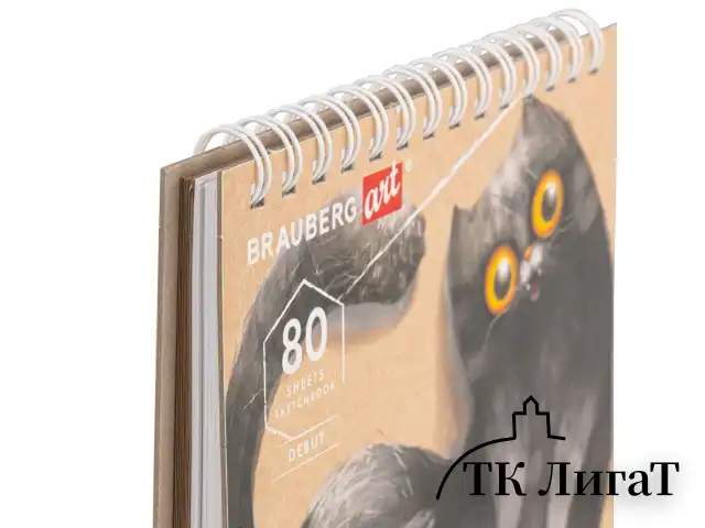 Скетчбук, белая бумага 120 г/м2 + крафт 80 г/м2 195х195 мм, 60 + 20 л., гребень, BRAUBERG ART DEBUT, 112983