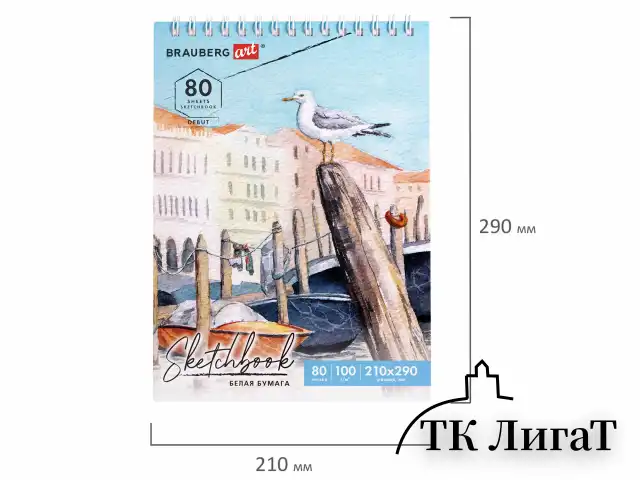 Скетчбук, белая бумага 100 г/м2, 210х290 мм, 80 л., гребень, твердая обложка, BRAUBERG ART DEBUT, 112987
