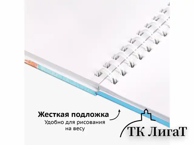 Скетчбук, белая бумага 100 г/м2, 210х290 мм, 80 л., гребень, твердая обложка, BRAUBERG ART DEBUT, 112987