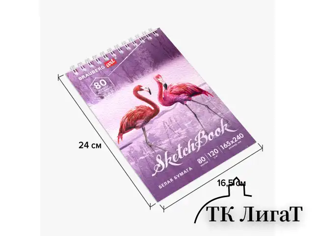 Скетчбук, белая бумага 120 г/м2 165х240 мм, 80 л., гребень, твердая обложка, BRAUBERG ART DEBUT, 112990