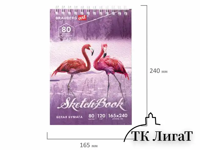 Скетчбук, белая бумага 120 г/м2 165х240 мм, 80 л., гребень, твердая обложка, BRAUBERG ART DEBUT, 112990