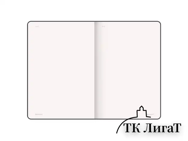 Блокнот-скетчбук А5 (130х210 мм), BRAUBERG ULTRA, под кожу, 80 г/м2, 96 л., без линовки, бирюзовый, 113023