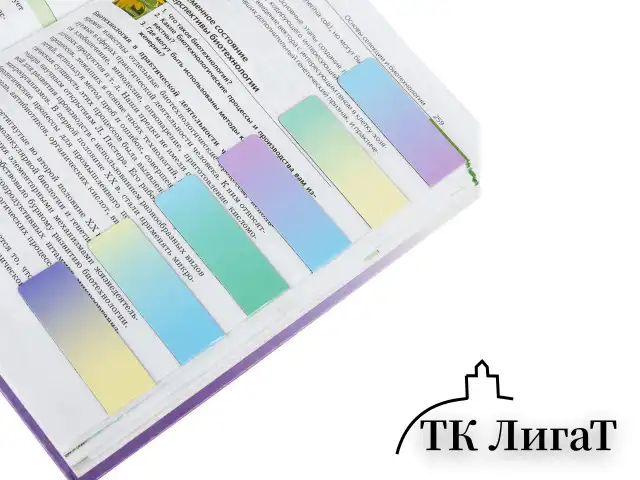 Закладки для книг МАГНИТНЫЕ, "GRADIENT", набор 12 шт., 60x20 мм, BRAUBERG, 113170