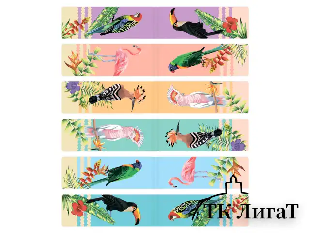 Закладки для книг МАГНИТНЫЕ, "TROPICS", набор 12 шт., 60x20 мм, BRAUBERG, 113172