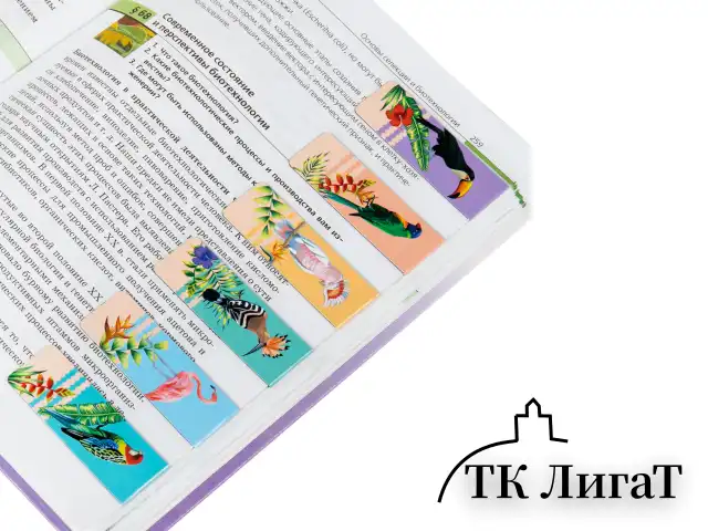 Закладки для книг МАГНИТНЫЕ, "TROPICS", набор 12 шт., 60x20 мм, BRAUBERG, 113172