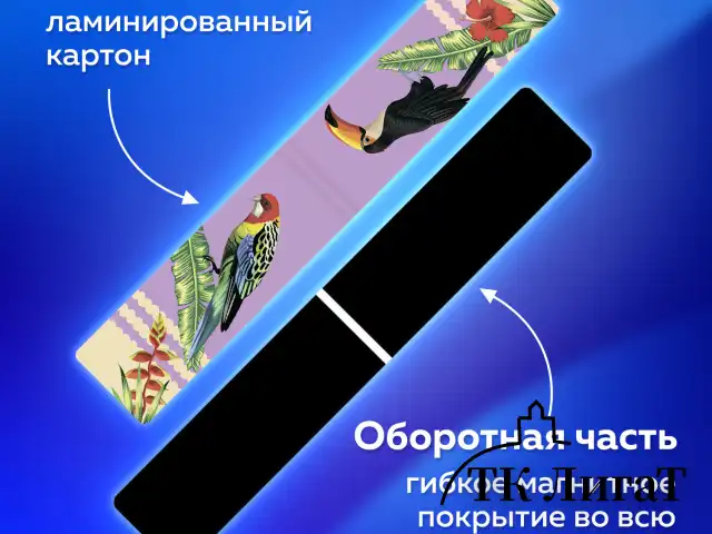 Закладки для книг МАГНИТНЫЕ, "TROPICS", набор 12 шт., 60x20 мм, BRAUBERG, 113172