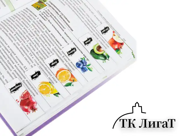 Закладки для книг МАГНИТНЫЕ, "FRUITS", набор 12 шт., 60x20 мм, BRAUBERG, 113173
