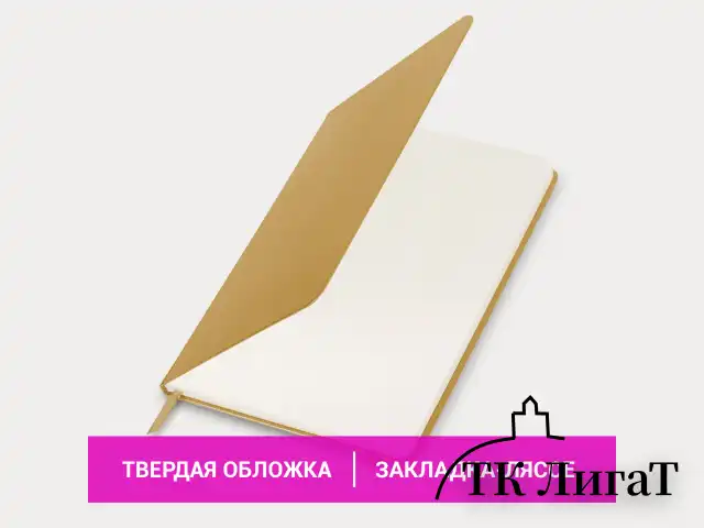 Блокнот А5 (148x218 мм), BRAUBERG "Metropolis Special", под кожу, 80 л., резинка, клетка, золотистый, 113333