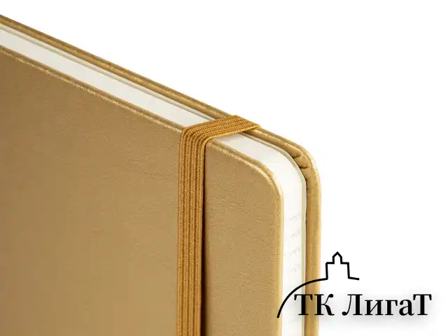Блокнот А5 (148x218 мм), BRAUBERG "Metropolis Special", под кожу, 80 л., резинка, клетка, золотистый, 113333