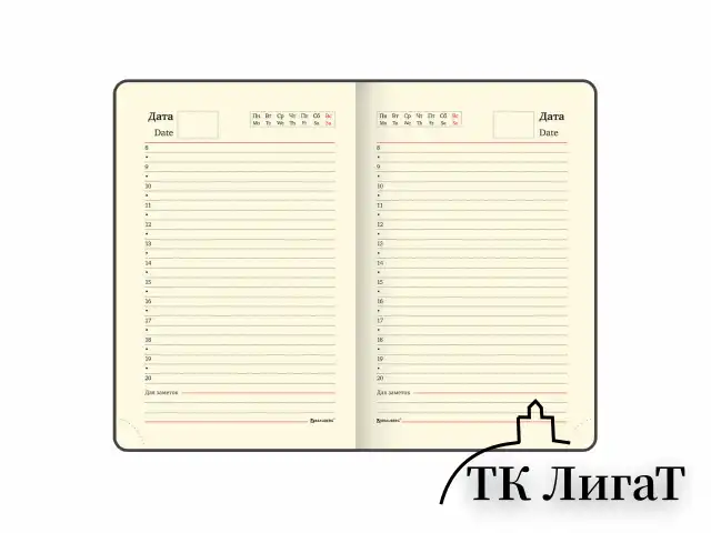 Ежедневник недатированный МАЛЫЙ 100х150 мм А6 BRAUBERG "Status", под кожу, 160 л., красный, 113367