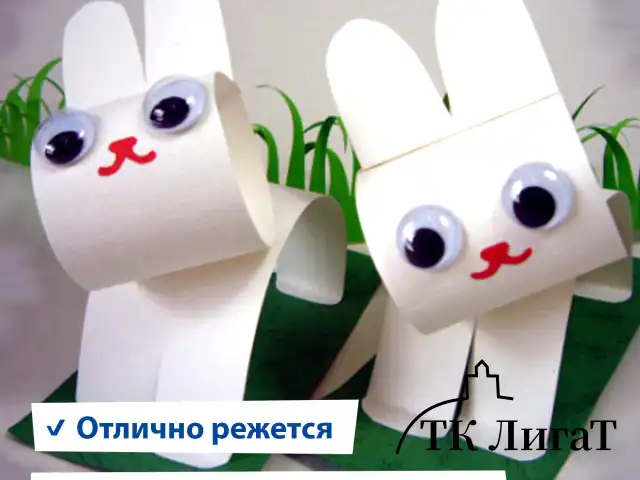 Картон белый А4 МЕЛОВАННЫЙ (белый оборот), 50 листов, в коробке, BRAUBERG, 210х297 мм, 113562