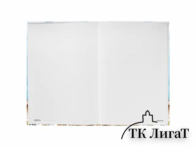 Блокнот БОЛЬШОЙ ФОРМАТ (205х290 мм) А4, 80л, твердый, клетка, STAFF, "Город", 114405