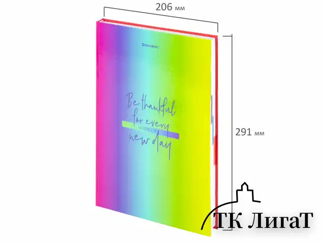 Блокнот БОЛЬШОЙ ФОРМАТ (206х291 мм) А4, 160 л., твёрдый, блок 5 цветов, клетка, BRAUBERG, "Градиент", 114408