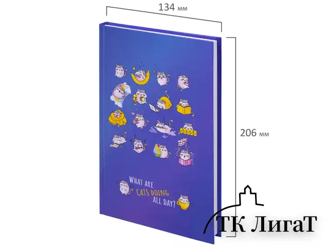Блокнот А5 (134х206 мм), 80 л., твёрдый, клетка, BRAUBERG KIDS, "Радужные котики", 114417