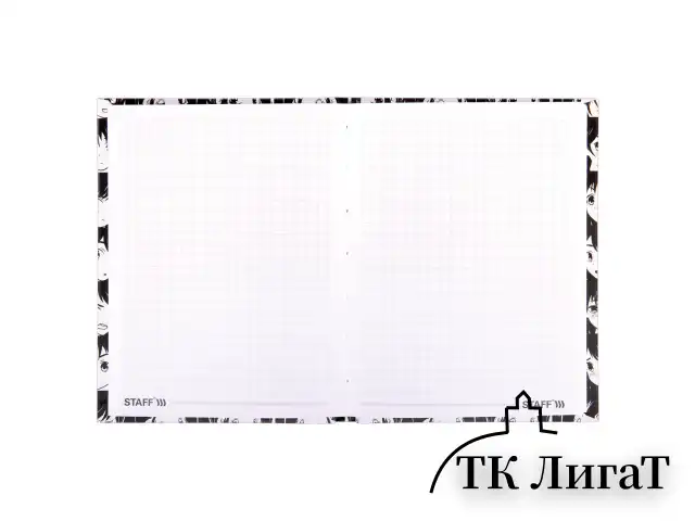 Блокнот МАЛЫЙ ФОРМАТ (110х147 мм), А6, 80 л., твёрдый, клетка, STAFF, "Аниме", 114436