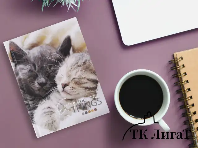 Блокнот МАЛЫЙ ФОРМАТ (110х147 мм), А6, 80 л., твёрдый, клетка, STAFF, "Котики", 114439
