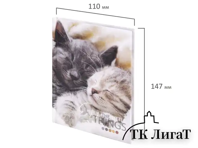 Блокнот МАЛЫЙ ФОРМАТ (110х147 мм), А6, 80 л., твёрдый, клетка, STAFF, "Котики", 114439