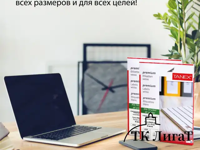 Этикетка самоклеящаяся 64,6х33,8 мм, 24 этикетки, белая 70 г/м2, 50 листов, TANEX, сырье Финляндия, 114538, TW-2533