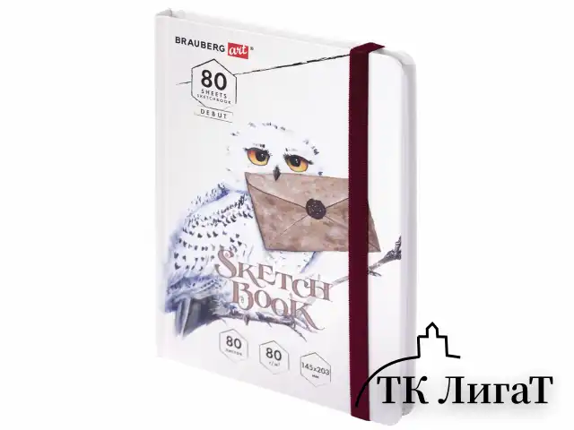 Скетчбук, белая бумага 80 г/м2, 145х203 мм, 80 л., резинка, твердый, BRAUBERG ART DEBUT "Хогвартс", 114581
