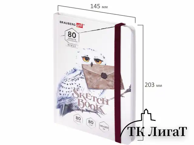 Скетчбук, белая бумага 80 г/м2, 145х203 мм, 80 л., резинка, твердый, BRAUBERG ART DEBUT "Хогвартс", 114581