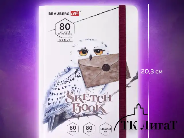 Скетчбук, белая бумага 80 г/м2, 145х203 мм, 80 л., резинка, твердый, BRAUBERG ART DEBUT "Хогвартс", 114581