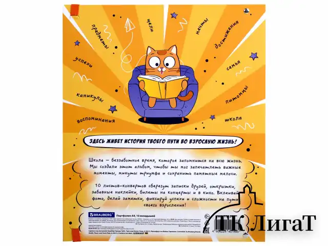 Папка-портфолио школьника, А4, ШКОЛЬНЫЙ АЛЬБОМ, 10 вкладышей, магнитный клапан 7БЦ, BRAUBERG, 115242