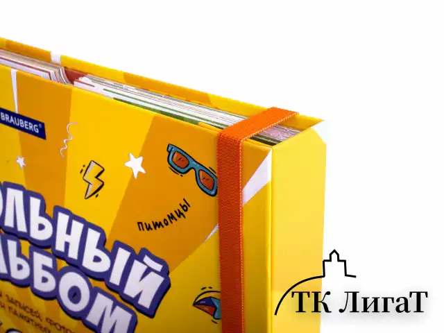 Папка-портфолио школьника, А4, ШКОЛЬНЫЙ АЛЬБОМ, 10 вкладышей, магнитный клапан 7БЦ, BRAUBERG, 115242