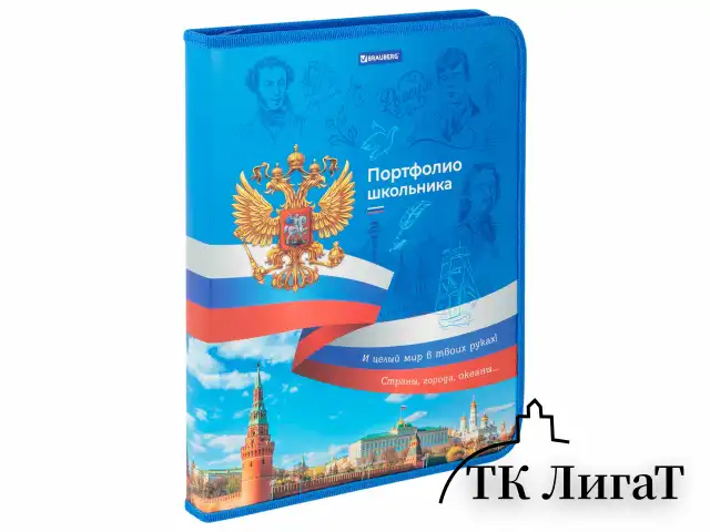 Папка-портфолио школьника, А4, на молнии, 8 вкладышей, обложка твердая, СИМВОЛИКА, BRAUBERG, 115243