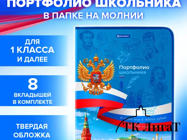 Папка-портфолио школьника, А4, на молнии, 8 вкладышей, обложка твердая, СИМВОЛИКА, BRAUBERG, 115243
