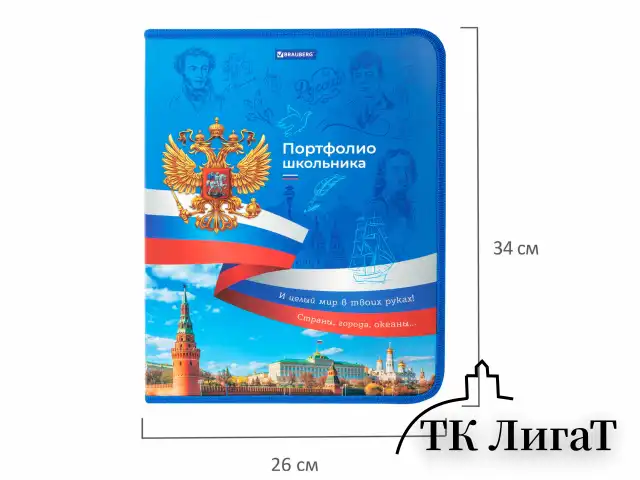 Папка-портфолио школьника, А4, на молнии, 8 вкладышей, обложка твердая, СИМВОЛИКА, BRAUBERG, 115243